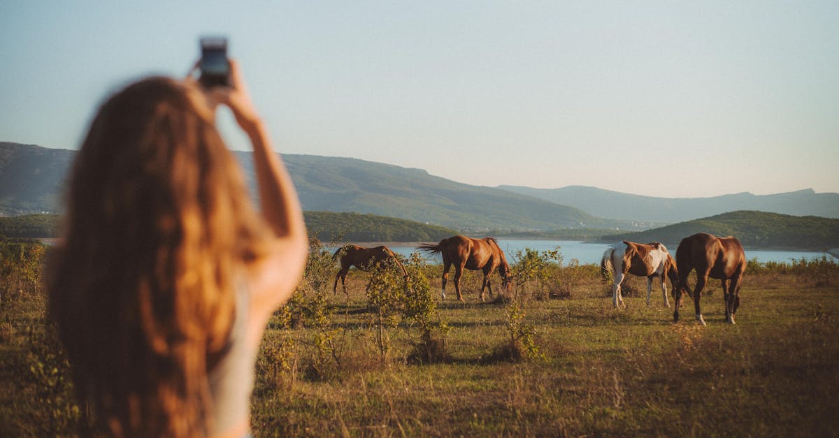 strategie digital detox efficaci