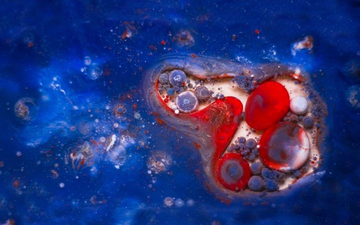 Scoperte microbioma marino profondo e nuovi impatti sugli ecosistemi nel 2026