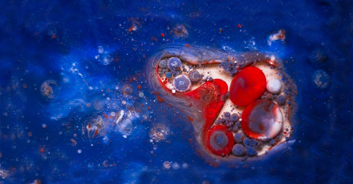 Scoperte microbioma marino profondo e nuovi impatti sugli ecosistemi nel 2026